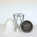The Egg