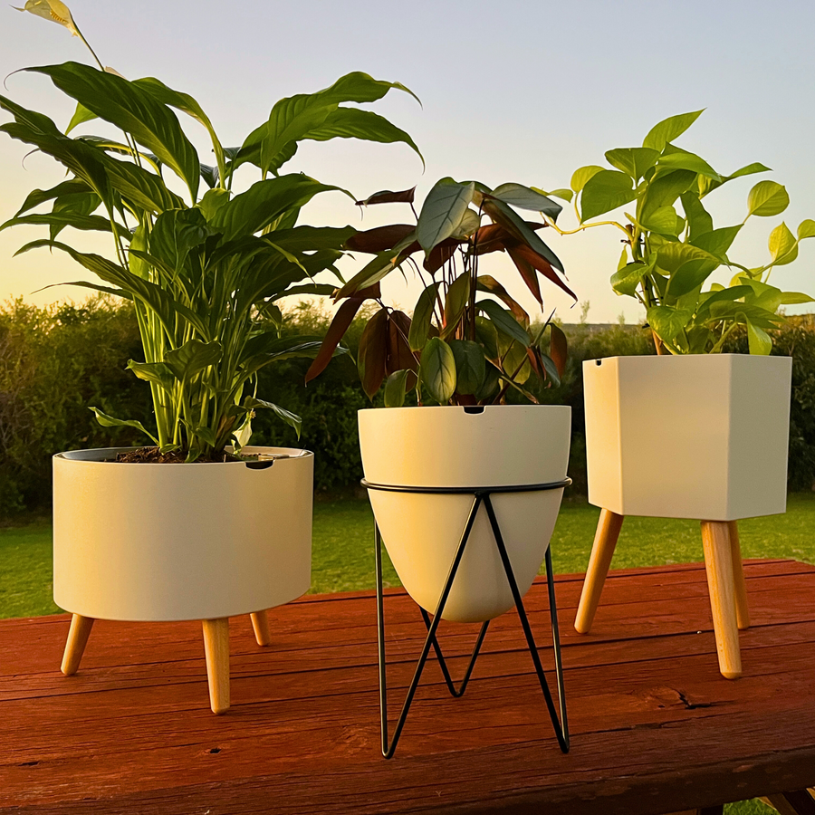 The three planters on a deck at sunset