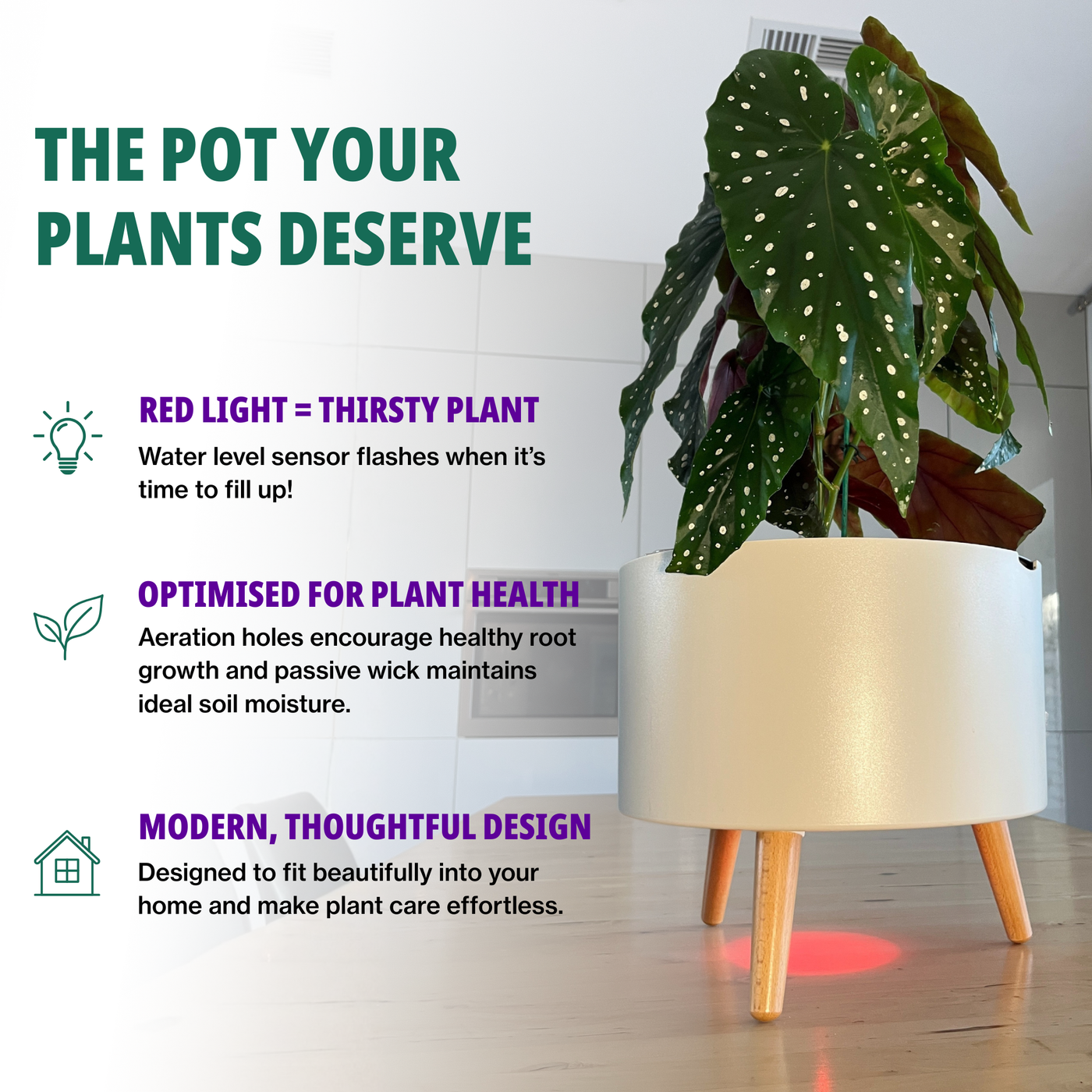 The Classic and its features: a red light when thirsty, aeration holes for root health, and a modern design