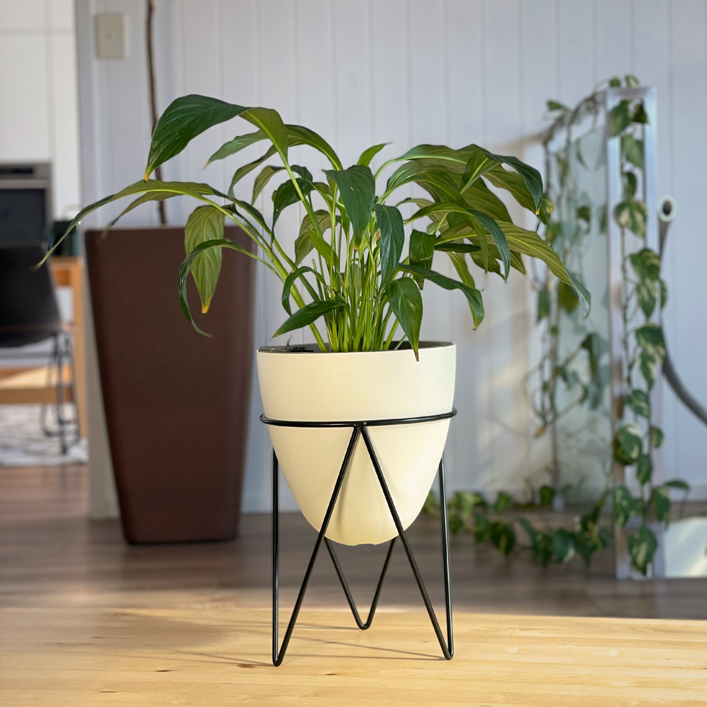 The Egg self-watering planter with a peace lily, on its black iron stand in a living room