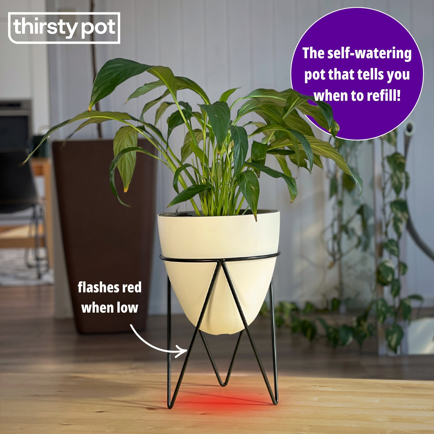 The Egg on its iron stand glowing red underneath, labelled to show it flashes red when the water is low