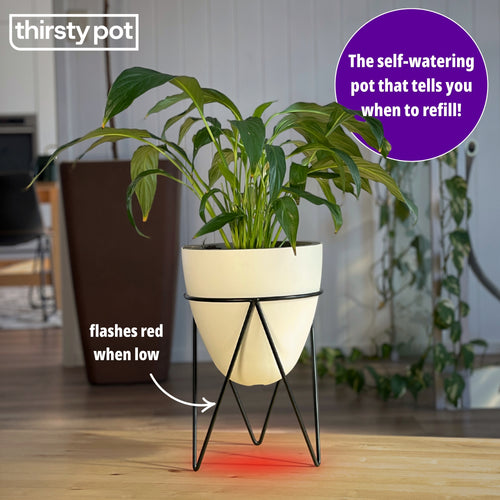 The Egg on its iron stand glowing red underneath, labelled to show it flashes red when the water is low