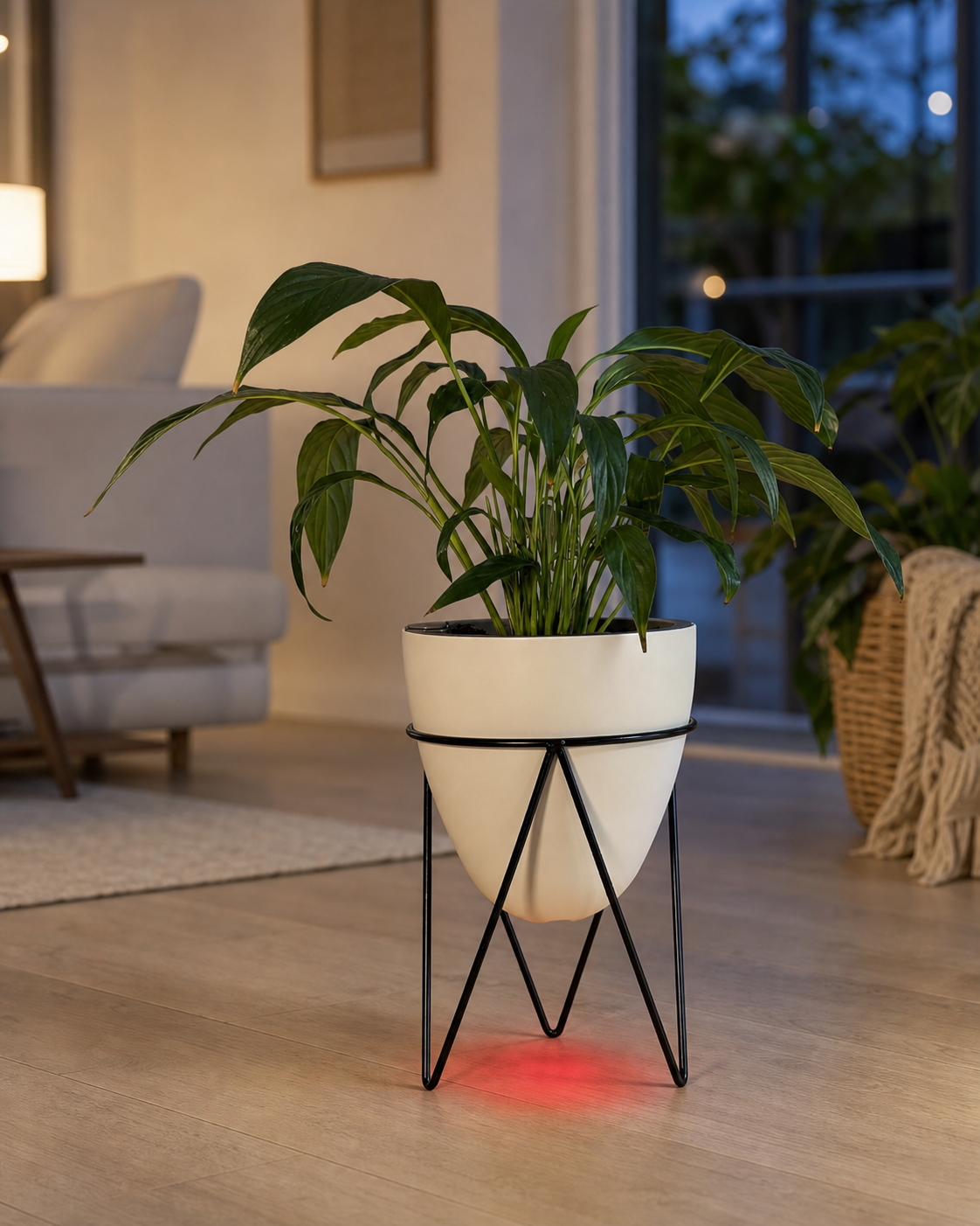 The Egg casting its red refill light onto the floor at night