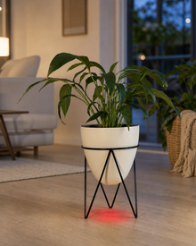 The Egg casting its red refill light onto the floor at night
