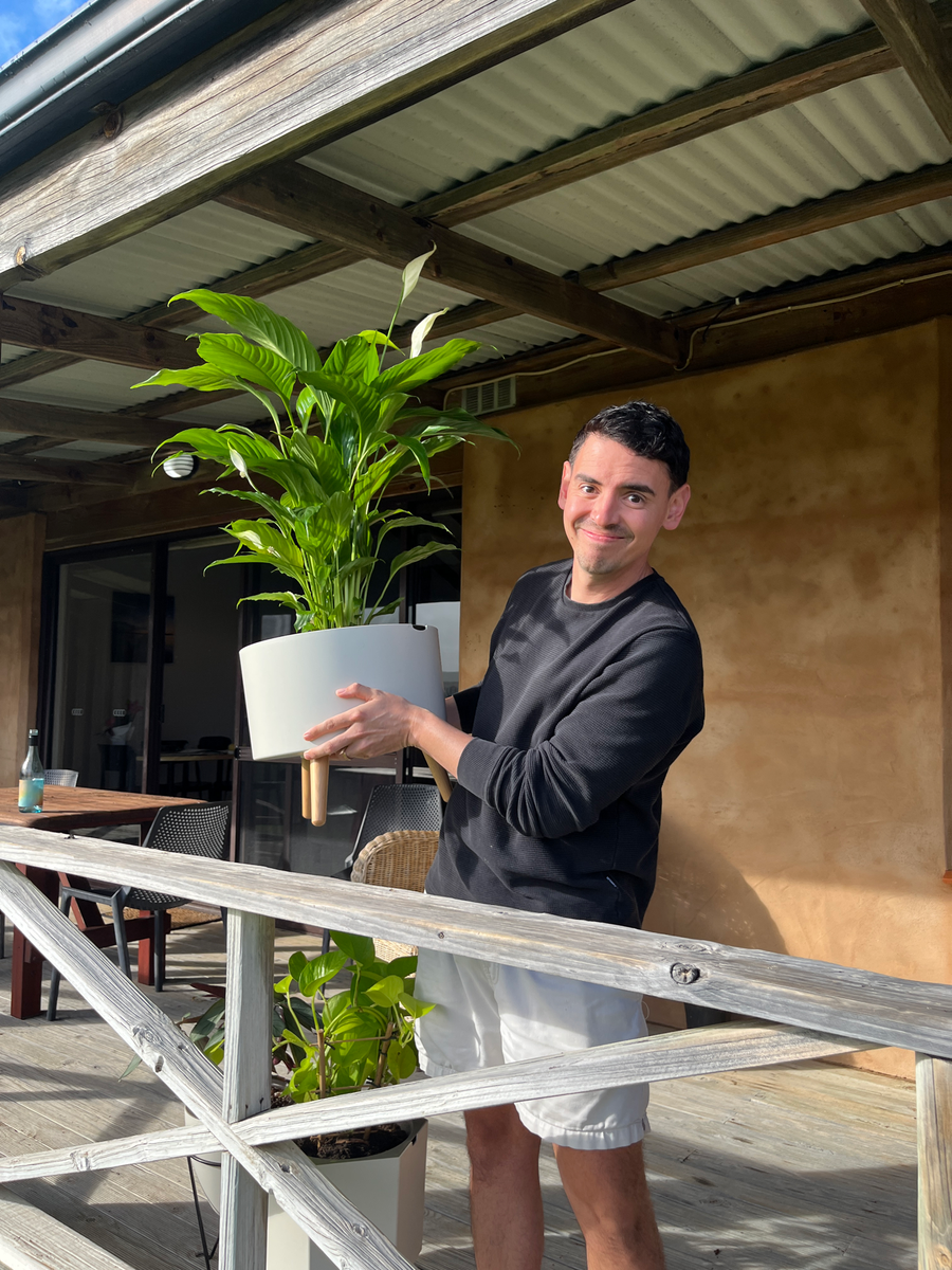 A Thirsty Pot at home