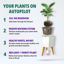 Four steps: fill the reservoir, a passive wick lets the plant drink, roots stay healthy, and a red light means it is thirsty