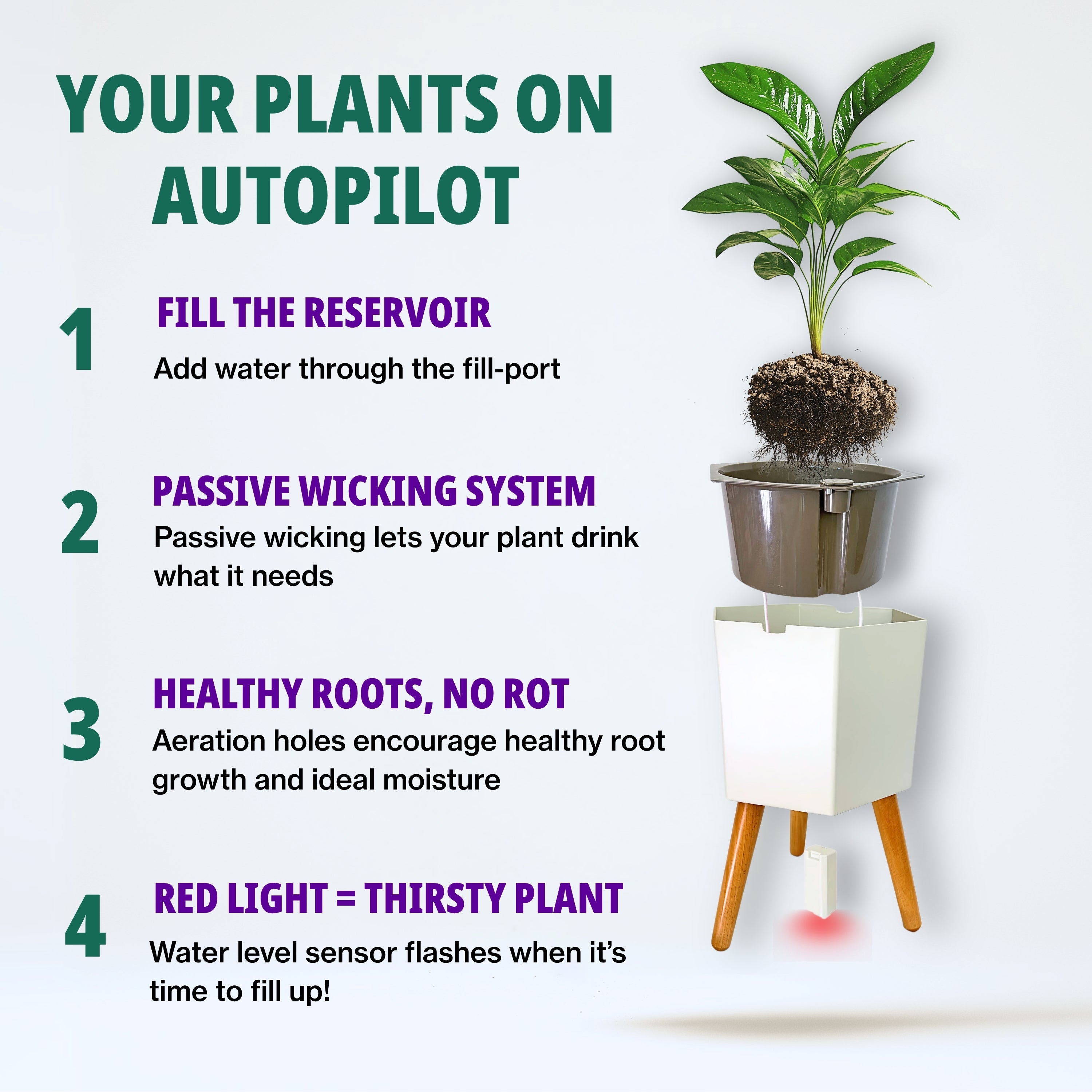 Four steps: fill the reservoir, a passive wick lets the plant drink, roots stay healthy, and a red light means it is thirsty