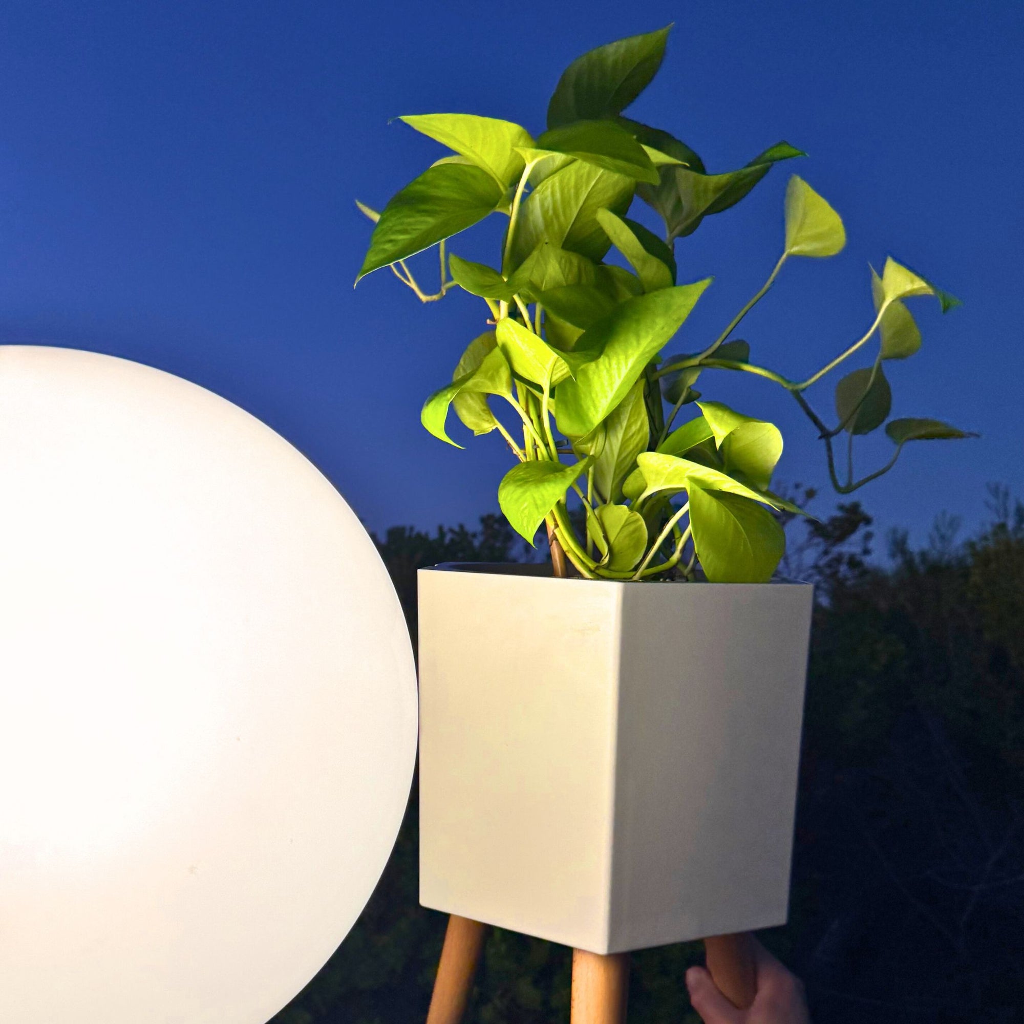 thirstypot hexagon with moon effect