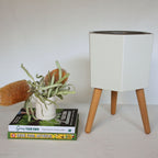 thirstypot hexagon planter studio shot with books and banksia flower